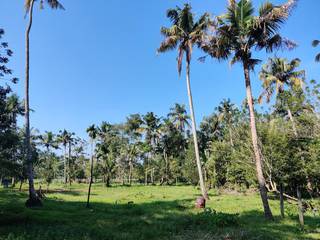 For Sale: Land of 4.90 acres near North Paravur with possibility of a resort development.