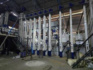 Invest in a 4TPH rice mill operating at 25% capacity, planning to launch own brand.