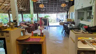 Profitable Cafe for Sale in Holbox, Mexico