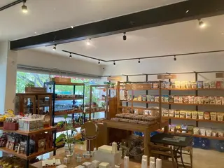 Health Food Store for Sale in Merida, Mexico
