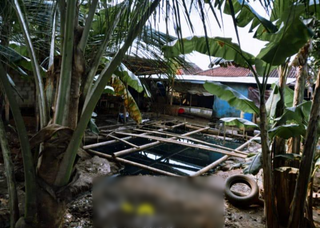 Duck farm in Jakarta that is spread over 5,000 sq. meter seeks financial investment.