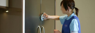 For Sale: Profitable domestic cleaning franchisor with 10 existing franchisees.