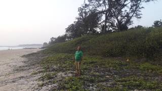 Commercial property located near beach in Shiroda suitable for Hospitality industry.