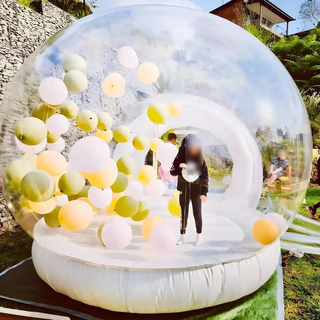 Established online business offering playful mini bounce houses.