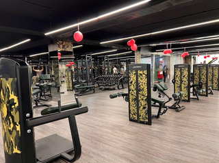 Branch of an international premium branded franchise gym with Life fitness & Hammer strength equipment.