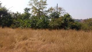 Owner of land in Maharashtra looking for buyers to buy/develop the properties.