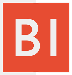 BI Consulting, 7 Franchisees, Est'd in 2010, Singapore HQ