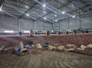 Well established business in India specializing in trading vegetables from farmers to wholesalers.