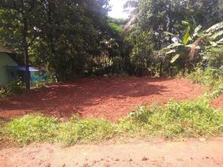 8.15 cents of prime land for sale in Kochi suited for residential purposes.