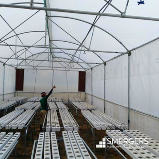 Hydroponics unit with hotels, resorts and retail clients for sale in Jharkhand.