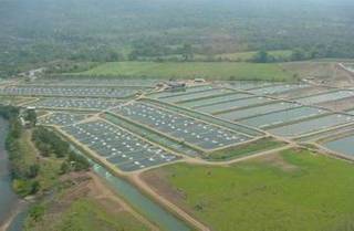 For Sale: Non-operational aquaculture project consisting of 139.4-hectare land with 200 ponds.