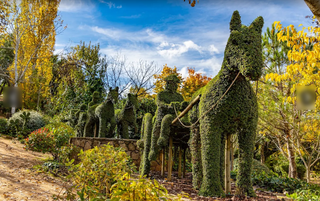For Sale: Business operating 2 themed amusement parks with complete owned land and building.