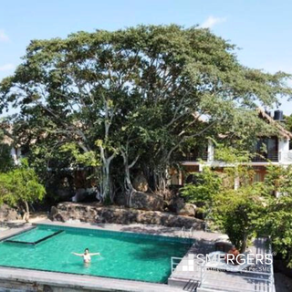 For Sale: Luxury resort in Arugam Bay, Sri Lanka, with 100% occupancy during peak season.
