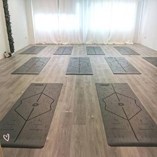 Profitable, easy manage pilates/yoga certification company/retail classes with 4 branches in Singapore looking for investors.