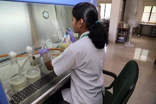 Manufactures of research-based biotech inputs for building disease resistance in plants is seeking business loan.
