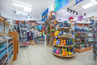 Investment opportunity: Cayman souvenir retailer serving cruise and hotel visitors with apparel, gifts, and handicrafts.