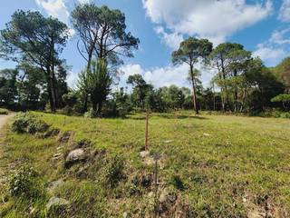 For Lease: Land for developing health/tourist resort at Bir- Billing of Himachal.