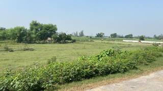 Lucrative hotel project + Condo's real estate in Ayodhya (5kms from Temple facing river)