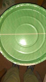 Manufacturer of paper plates producing 5,000 plates daily, having 8 retailer tie ups.