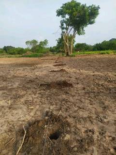 Large-scale organic plantation company having 50 customers seeks investment.