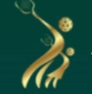 Picklers Arena Private Limited, 3 Franchisees, Est'd in 2023, Chennai HQ