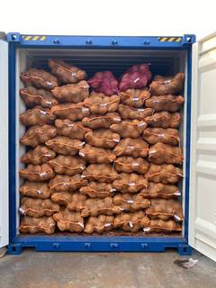 Invest in a profitable coconut cultivation and export business with strong demand and market presence.