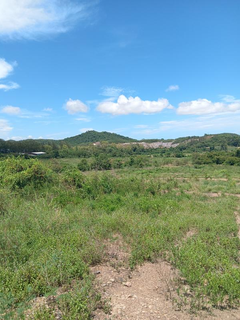 Pre-revenue Japanese-inspired luxury wellness retreat development on owned land seeking investment partner for construction.