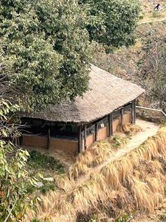 Strategically located organic farm in Mukteshwar, Uttarakhand, working on farm-stay service idea, looking for investment.