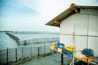 Sea cucumber farming company in Sri Lanka seeking investors for their 200-acre project.