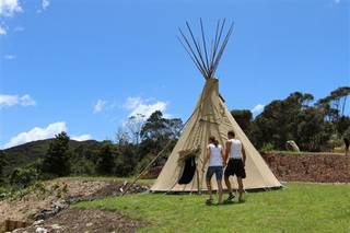 Top Holiday park with Wildlife for sale in New Zealand.