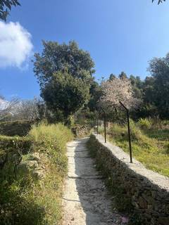Lease opportunity: 25,000 sq. ft. scenic property in Kanatal, Mussoorie, ideal for agrotourism/organic farming.
