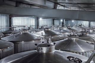 A craft brewery in Kazakhstan with exports to Uzbekistan and Kyrgyzstan.