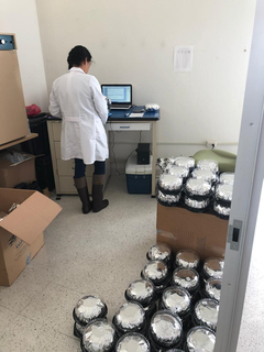 Clinical metabolomic laboratory focused in the early diagnosis of tumor biomarkers in exhaled breath.