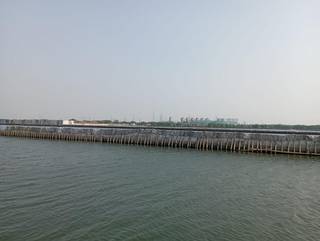 Aquaculture business seeking investment to expand seaweed cultivation and boost production for export markets.