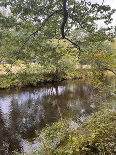 Exceptional spring water assets in Maine partially acquired in a distressed sale.