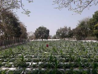Dairy products manufacturing and marketing business with a capacity of 10,000 litres daily seeking investment.