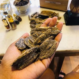 Business with 1,500 acre land growing Agarwood plants and manufacturing perfume seeks funds for expansion.