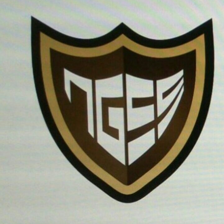 Nigha Group Of Security Services logo
