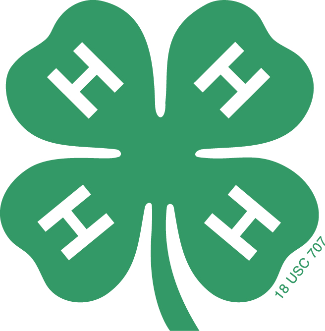 4H India logo
