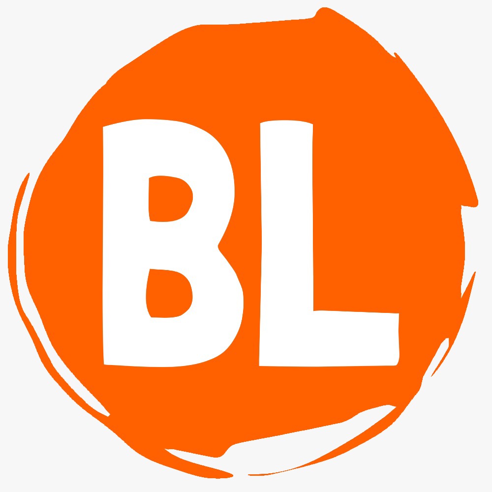 Big Lots India logo