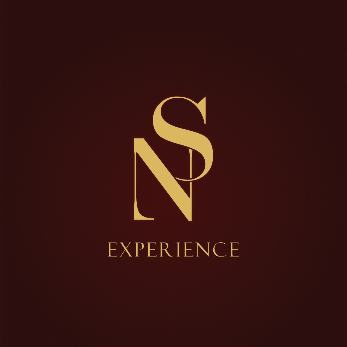NS Style Salon logo