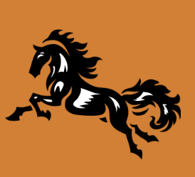 Zebra Footwear (Marswalk International) logo