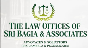 The Law Offices Of Sri Bagia & Associates logo