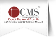 CMS IT Institute logo